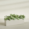 Miami Extra Large Narrow Rectangle Fiberglass Planter - 60 in x 12 in x 18 in - Satin Beige - Satin Beige,60 in x 12 in x 18 in