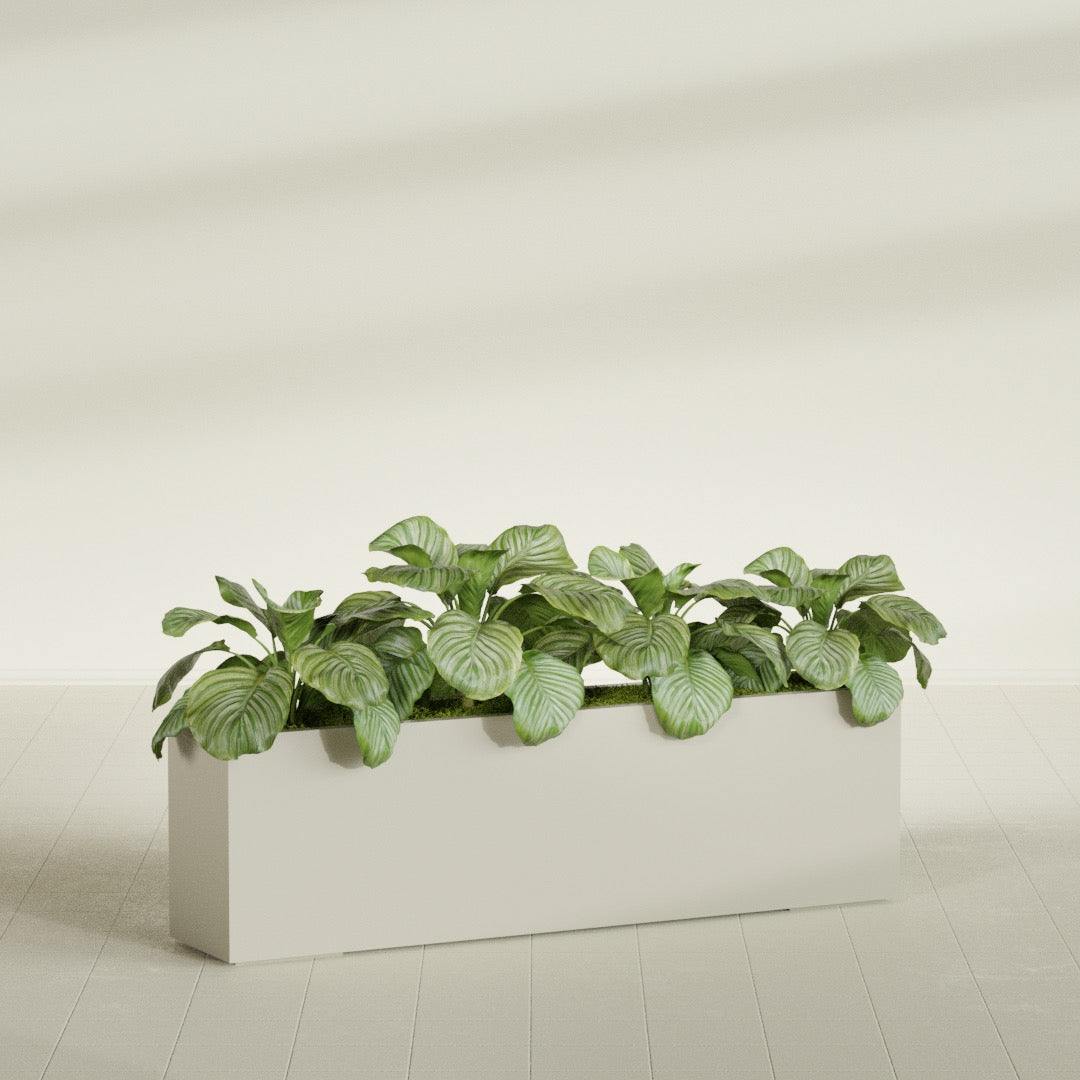 Miami Extra Large Narrow Rectangle Fiberglass Planter - 60 in x 12 in x 18 in - Satin Beige - Satin Beige,60 in x 12 in x 18 in