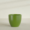 Wannsee Extra Large Round Fiberglass Planter - 50 in x 50 in x 44 in - Satin Green - Satin Green,50 in x 50 in x 44 in