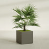 Montroy Large Cube Square Fiberglass Planter - 32 in x 32 in x 32 in - Matte Bronze - Matte Bronze,32 in x 32 in x 32 in