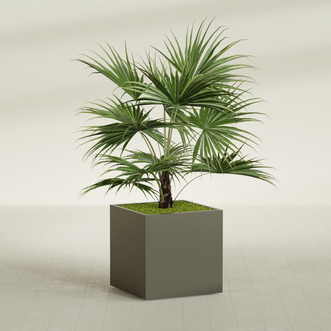 Montroy Large Cube Square Fiberglass Planter - 32 in x 32 in x 32 in - Matte Bronze - Matte Bronze,32 in x 32 in x 32 in