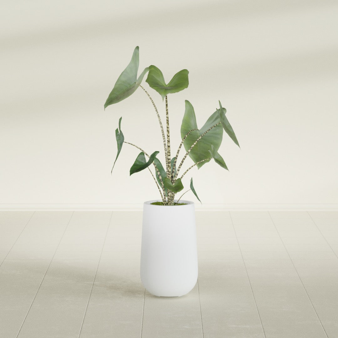 Tall Hayden Medium Round Fiberglass Planter - 18 in x 18 in x 29 in - Gloss White - Gloss White,18 in x 18 in x 29 in