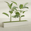 Cuba Extra Large Long Rectangle Fiberglass Planter - 72 in x 14 in x 12 in - Satin Beige - Satin Beige,72 in x 14 in x 12 in