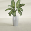 Lisbon Medium Round Fiberglass Planter - 14 in x 14 in x 25 in - Metallic Silver - Metallic Silver,14 in x 14 in x 25 in