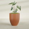 Valencia Large Round Fiberglass Planter - 27 in x 27 in x 31 in - Matte Terracotta - Matte Terracotta,27 in x 27 in x 31 in