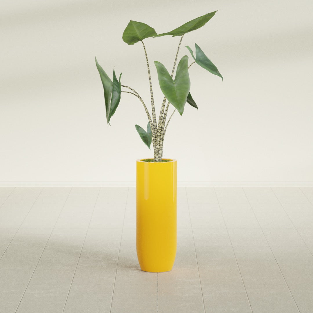 Saint Tropez Large Tall Round Fiberglass Planter - 12 in x 12 in x 32 in - Gloss Saffron - Gloss Saffron,12 in x 12 in x 32 in