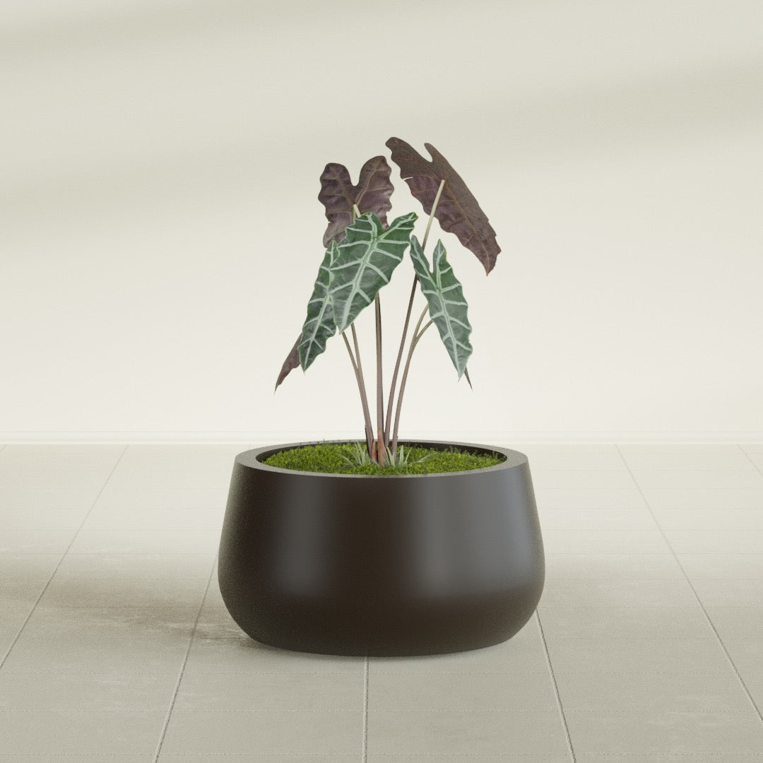 Short Hayden Small Round Fiberglass Planter - 16 in x 16 in x 8 in - Matte Brown - Matte Brown,16 in x 16 in x 8 in