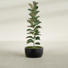 Casablanca Medium Round Low Bowl Fiberglass Planter - 20 in x 20 in x 10 in - Matte Black - Matte Black,20 in x 20 in x 10 in