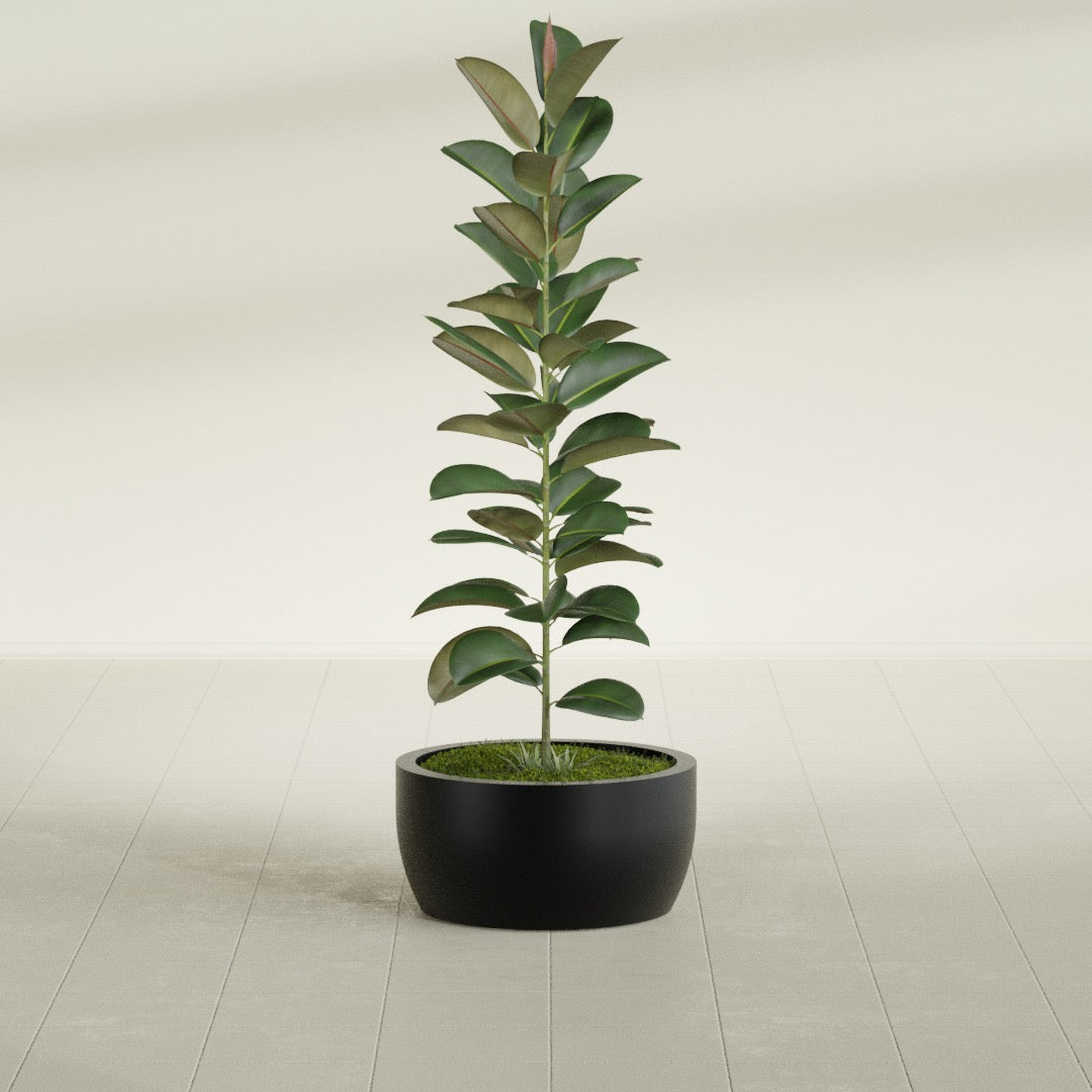 Casablanca Medium Round Low Bowl Fiberglass Planter - 20 in x 20 in x 10 in - Matte Black - Matte Black,20 in x 20 in x 10 in
