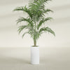 Corry Medium Tall Cylinder Fiberglass Planter - 10 in x 10 in x 20 in - Gloss White - Gloss White,10 in x 10 in x 20 in