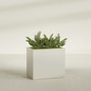 Brisbane Large Rectangle Fiberglass Planter - 36 in x 24 in x 32 in - Satin Beige - Satin Beige,36 in x 24 in x 32 in