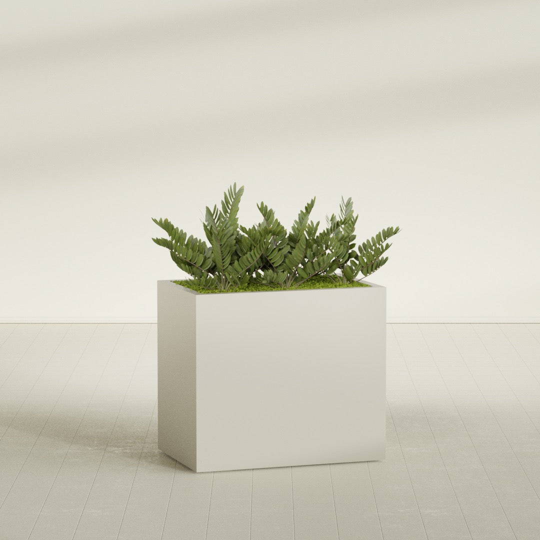 Brisbane Large Rectangle Fiberglass Planter - 36 in x 24 in x 32 in - Satin Beige - Satin Beige,36 in x 24 in x 32 in