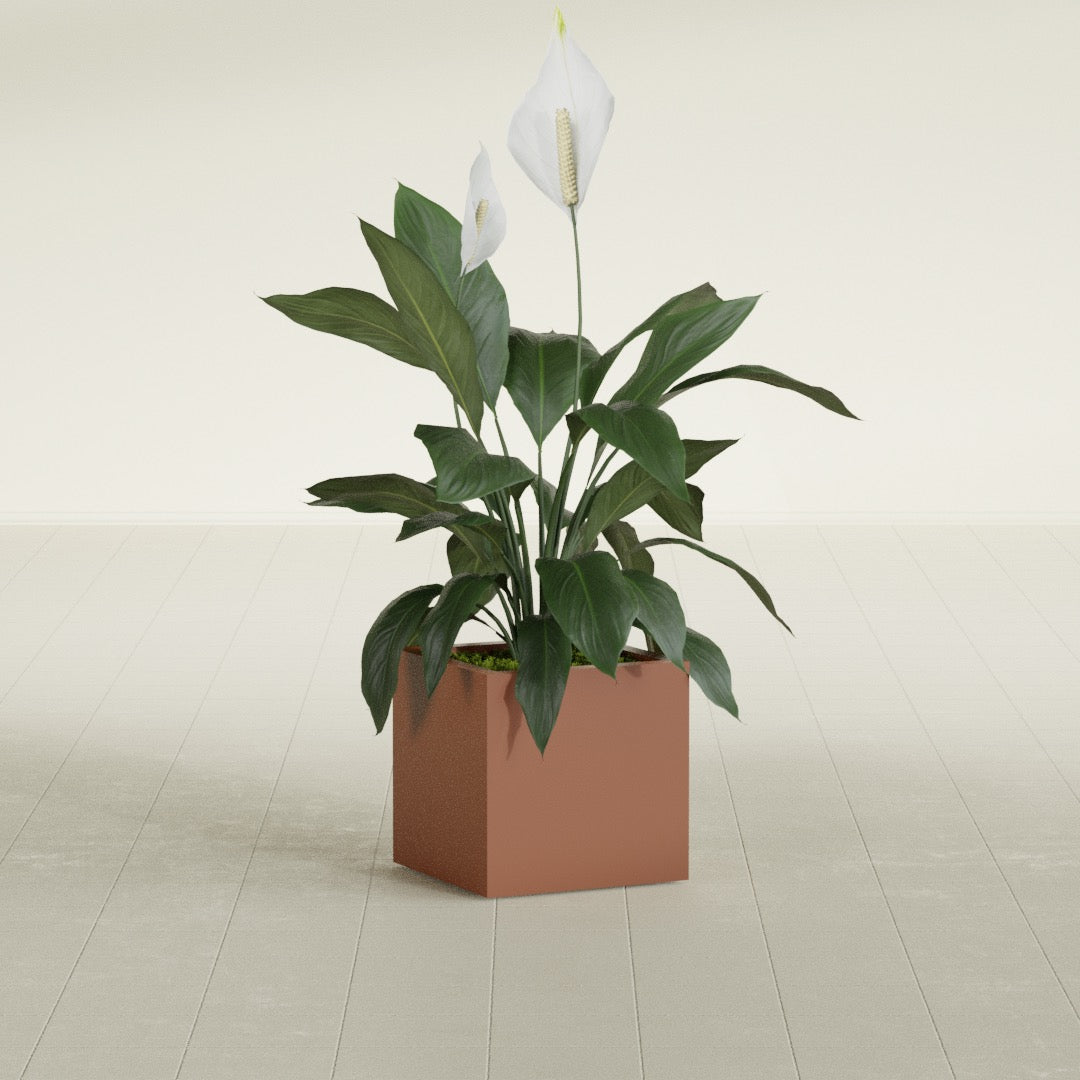 Montroy Small Cube Square Fiberglass Planter - 16 in x 16 in x 16 in - Matte Terracotta - Matte Terracotta,16 in x 16 in x 16 in