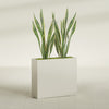 Perth Extra Large Long Rectangle Fiberglass Planter - 48 in x 16 in x 42 in - Satin Beige - Satin Beige,48 in x 16 in x 42 in