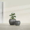 Fishbowl Medium Round Fiberglass Planter - 21.5 in x 21.5 in x 19 in - Metallic Gunmetal - Metallic Gunmetal,21.5 in x 21.5 in x 19 in