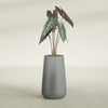 Saigon Large Tapered Round Planter - 14 in x 14 in x 30 in - Metallic Gunmetal - Metallic Gunmetal,13.7 in x 13.7 in 30 in