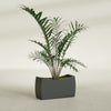 Seoul Large Curved Abstract Fiberglass Planter - 32 in x 12 in x 18 in - Matte Charcoal - Matte Charcoal,32 in x 12 in x 18 in
