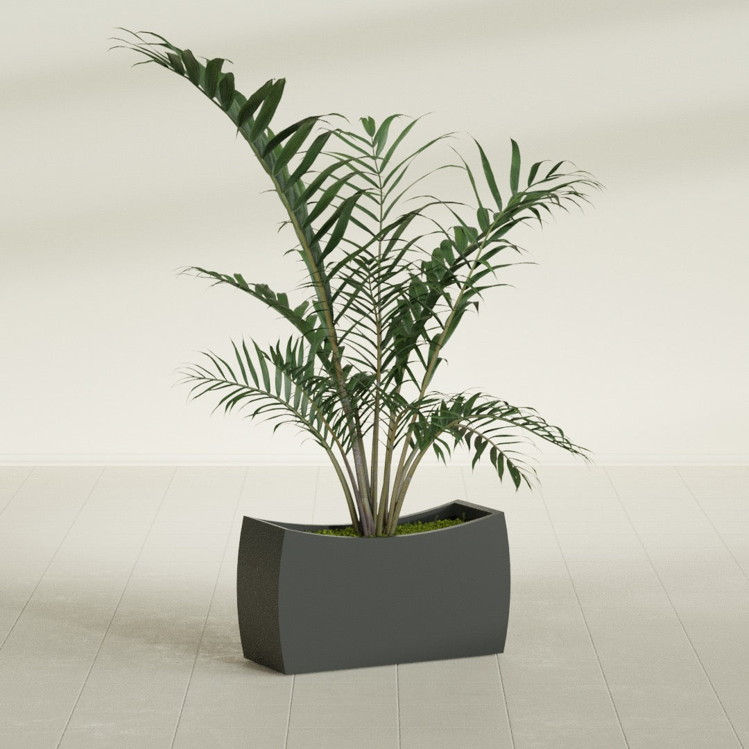 Seoul Large Curved Abstract Fiberglass Planter - 32 in x 12 in x 18 in - Matte Charcoal - Matte Charcoal,32 in x 12 in x 18 in