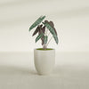 Valencia Small Round Fiberglass Planter - 15 in x 15 in x 18 in - Satin Beige - Satin Beige,15 in x 15 in x 18 in