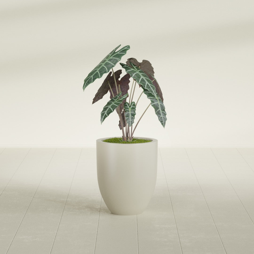 Valencia Small Round Fiberglass Planter - 15 in x 15 in x 18 in - Satin Beige - Satin Beige,15 in x 15 in x 18 in