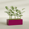 Torino Extra Large Wide Rectangle Fiberglass Planter - 48 in x 24 in x 18 in - Gloss Eggplant - Gloss Eggplant,48 in x 24 in x 18 in