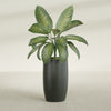 Lisbon Large Round Fiberglass Planter - 18 in x 18 in x 32 in - Matte Charcoal - Matte Charcoal,18 in x 18 in x 32 in