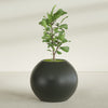 Globe Large Sphere Fiberglass Planter - 36 in x 36 in x 30 in - Matte Charcoal - Matte Charcoal,36 in x 36 in x 30 in