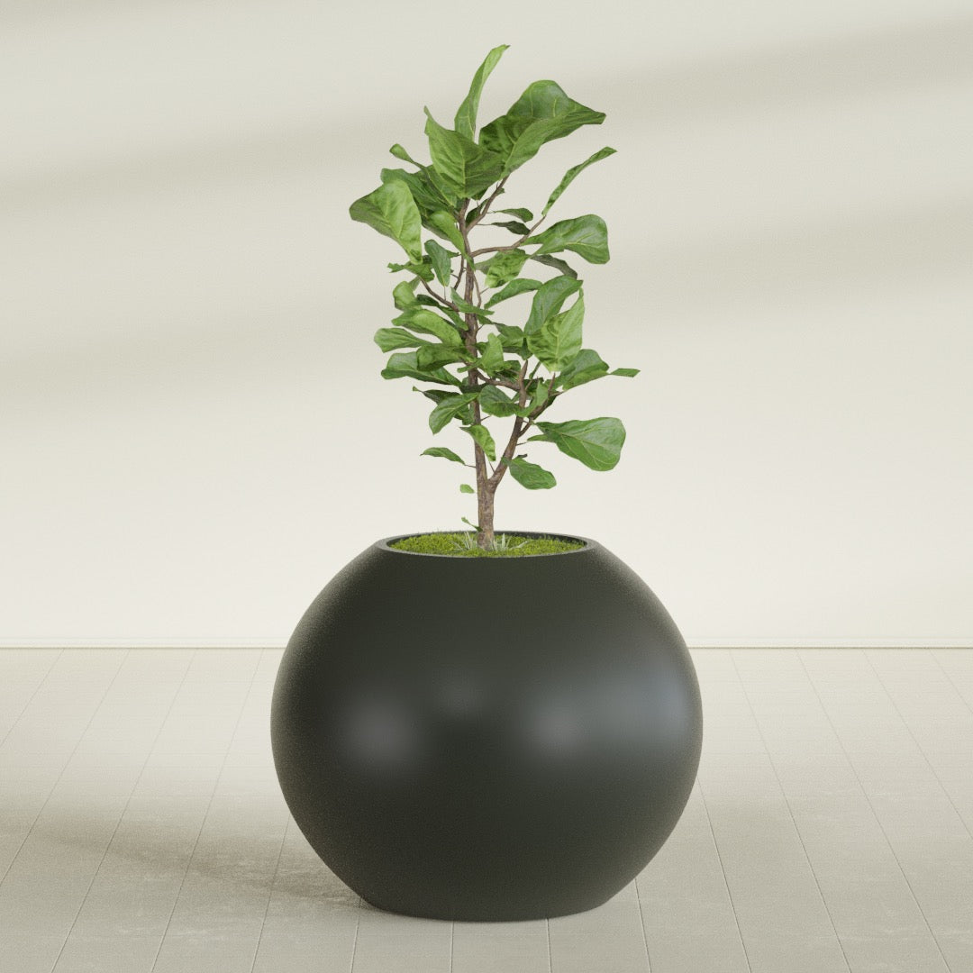 Globe Large Sphere Fiberglass Planter - 36 in x 36 in x 30 in - Matte Charcoal - Matte Charcoal,36 in x 36 in x 30 in