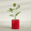 Rio Grande Medium Round Fiberglass Planter - 18 in x 18 in x 20 in - Gloss Red - Gloss Red,18 in x 18 in x 20 in