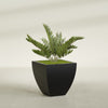 Lima Medium Tapered Square Fiberglass Planter - 24 in x 24 in x 24 in - Matte Black - Matte Black,24 in x 24 in x 24 in