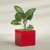 Montroy Extra Large Cube Square Fiberglass Planter - 48 in x 48 in x 48 in - Gloss Red - Gloss Red,48 in x 48 in x 48 in
