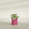 Miami Small Rectangle Fiberglass Planter - 12 in x 12 in x 18 in - Gloss Pink Violet - Gloss Pink Violet,12 in x 12 in x 18 in