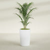 Tegel Medium Round Fiberglass Planter - 18 in x 18 in x 26 in - Gloss White - Gloss White,18 in x 18 in x 26 in