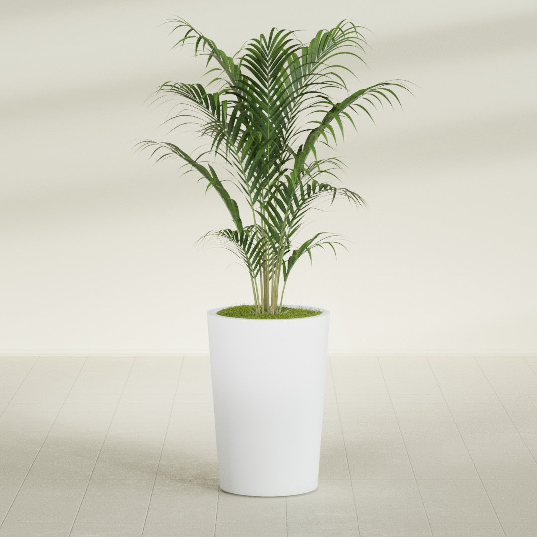 Tegel Medium Round Fiberglass Planter - 18 in x 18 in x 26 in - Gloss White - Gloss White,18 in x 18 in x 26 in