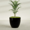 Wannsee Extra Large Round Fiberglass Planter - 50 in x 50 in x 44 in - Gloss Black - Gloss Black,50 in x 50 in x 44 in