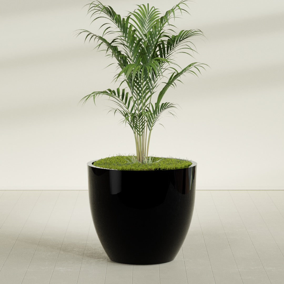 Wannsee Extra Large Round Fiberglass Planter - 50 in x 50 in x 44 in - Gloss Black - Gloss Black,50 in x 50 in x 44 in