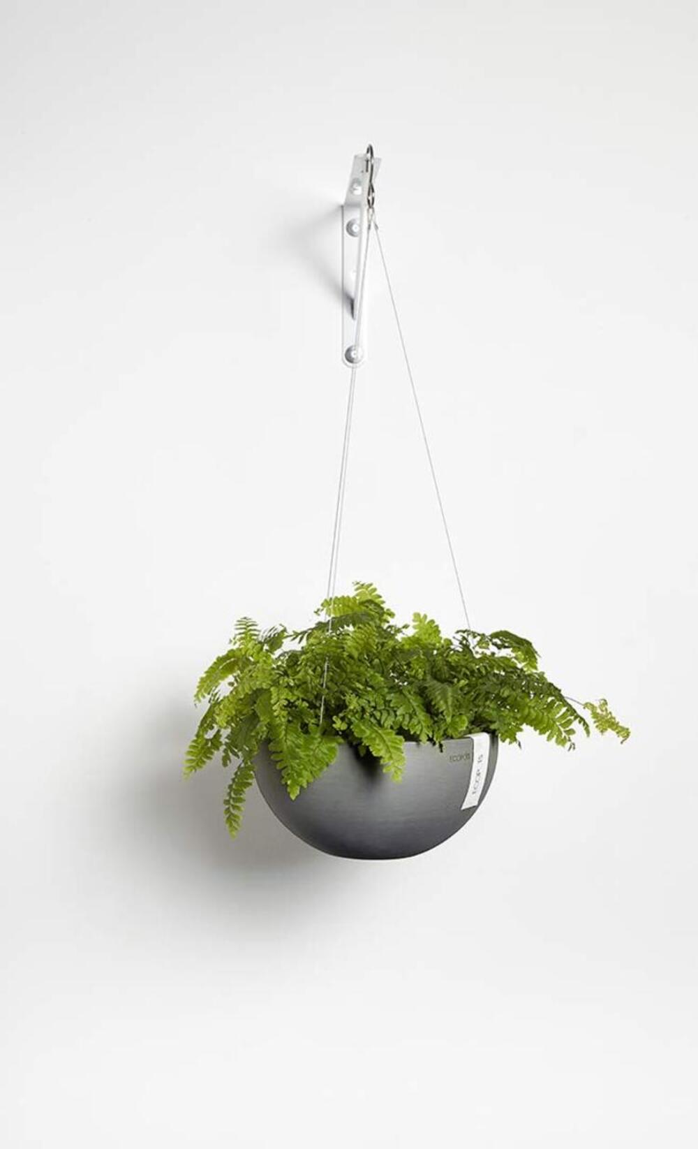 Hanging Brussels Small Bowl Planter - 10.5 in x 10.5 in x 5 in - Grey - Grey,10.5 in x 10.5 in x 5 in