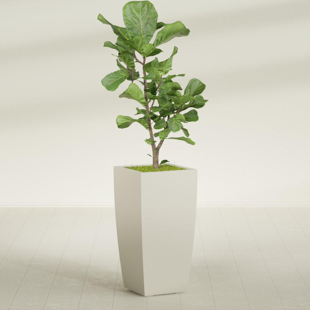 Toulan Large Tall Tapered Square Fiberglass Planter - 18 in x 18 in x 36 in - Satin Beige - Satin Beige,18 in x 18 in x 36 in
