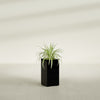Hollywood Medium Rectangle Fiberglass Planter - 12 in x 12 in x 24 in - Gloss Black - Gloss Black,12 in x 12 in x 24 in