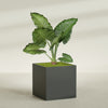 Montroy Extra Large Cube Square Fiberglass Planter - 48 in x 48 in x 48 in - Matte Charcoal - Matte Charcoal,48 in x 48 in x 48 in