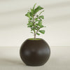 Globe Large Sphere Fiberglass Planter - 36 in x 36 in x 30 in - Matte Brown - Matte Brown,36 in x 36 in x 30 in