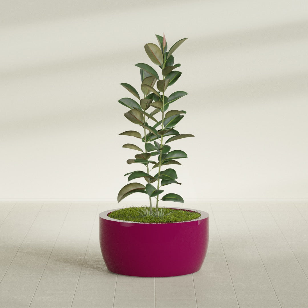Casablanca Large Round Low Bowl Fiberglass Planter - 30 in x 30 in x 15 in - Gloss Eggplant - Gloss Eggplant,30 in x 30 in x 15 in