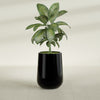 Tall Hayden Medium Round Fiberglass Planter - 15 in x 15 in x 23 in - Gloss Black - Gloss Black,15 in x 15 in x 23 in