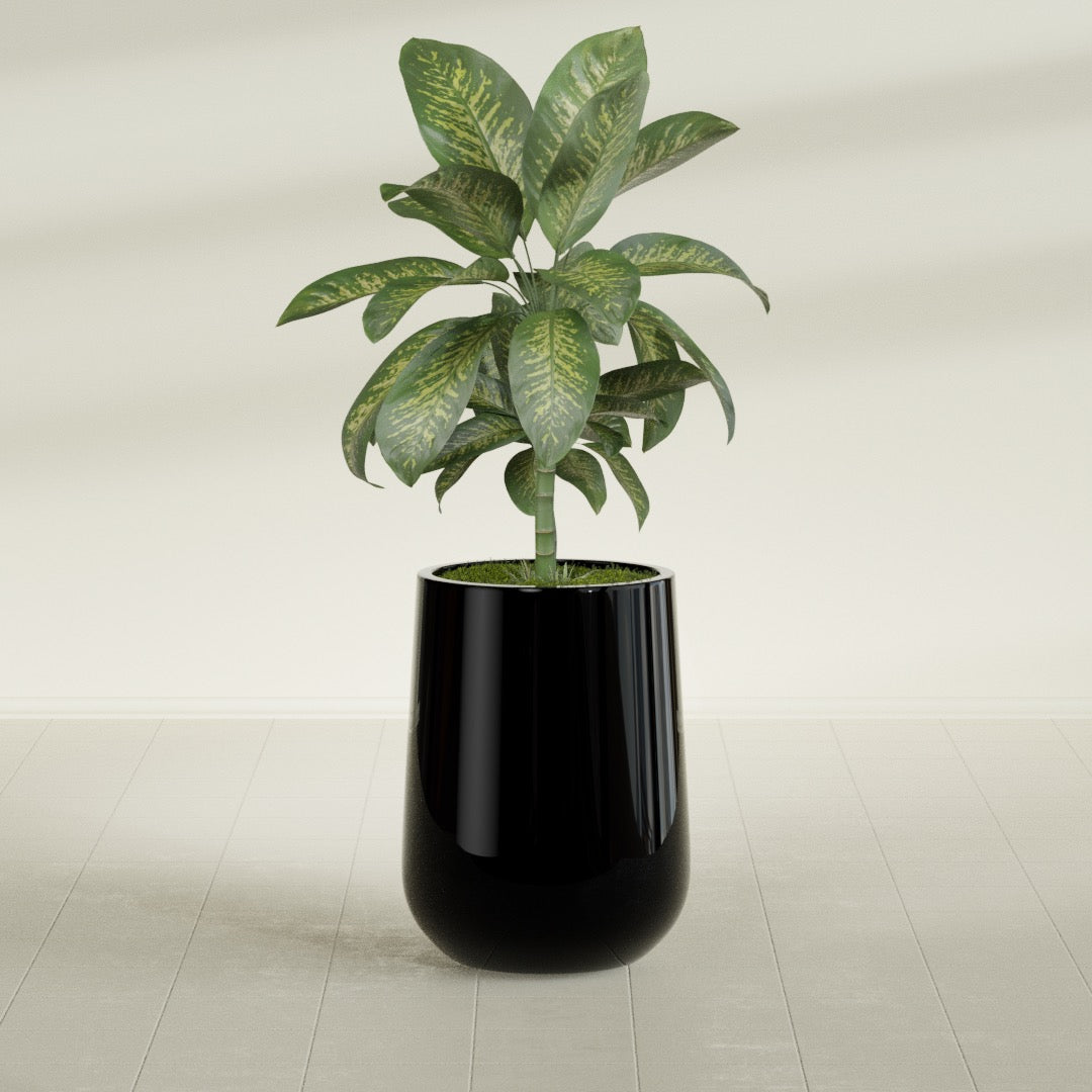 Tall Hayden Medium Round Fiberglass Planter - 15 in x 15 in x 23 in - Gloss Black - Gloss Black,15 in x 15 in x 23 in