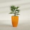 Brannan Large Round Fiberglass Planter - 24 in x 24 in x 35 in - Gloss Tangerine - Gloss Tangerine,24 in x 24 in x 35 in