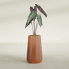 Saigon Large Tapered Round Planter - 14 in x 14 in x 30 in - Matte Terracotta - Matte Terracotta,13.7 in x 13.7 in 30 in