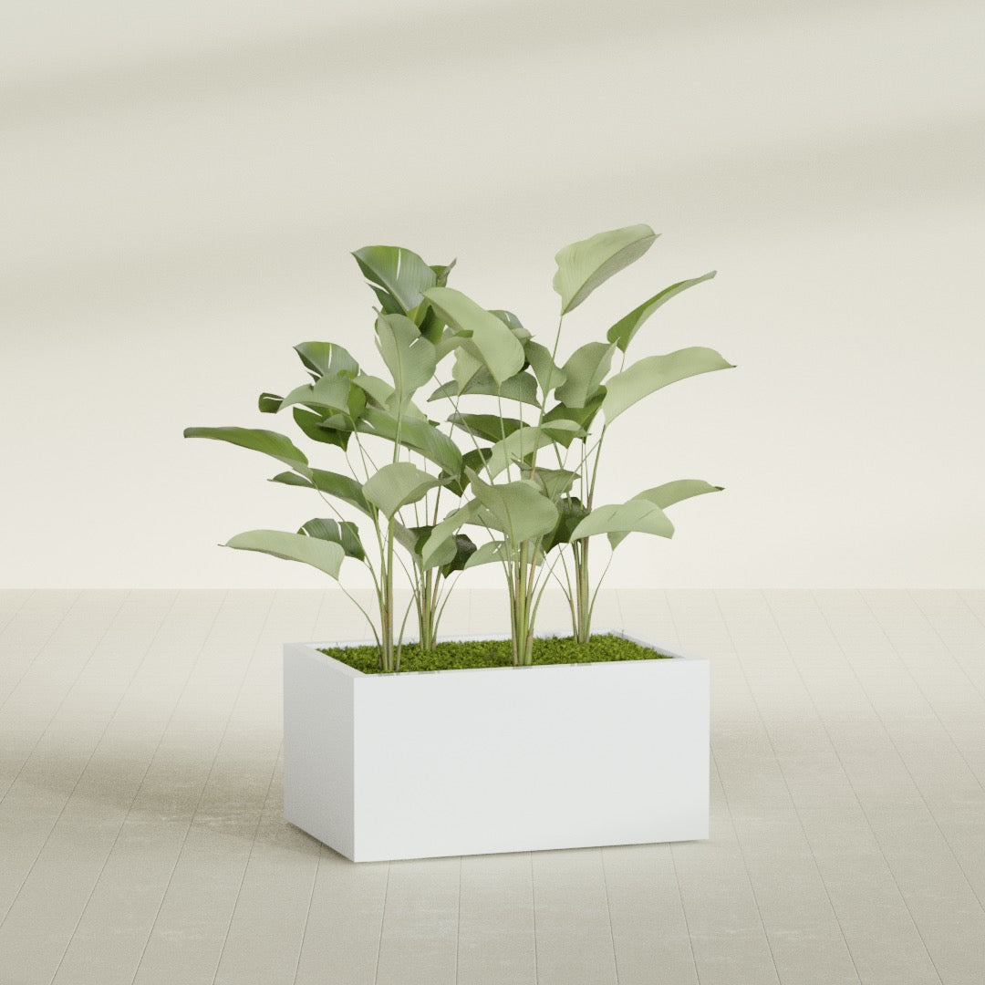 Torino Large Wide Rectangle Fiberglass Planter - 36 in x 24 in x 18 in - Matte White - Matte White,36 in x 24 in x 18 in