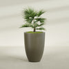 Brannan Large Round Fiberglass Planter - 30 in x 30 in x 41 in - Matte Bronze - Matte Bronze,30 in x 30 in x 41 in