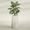 Saigon Extra Large Tapered Round Planter - 19 in x 24 in x 42 in - Satin Beige - Satin Beige,19.2 in x 24.2 in x 42 in