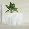 Brannan Large Round Fiberglass Planter - 24 in x 24 in x 35 in - Gloss White - Gloss White,24 in x 24 in x 35 in